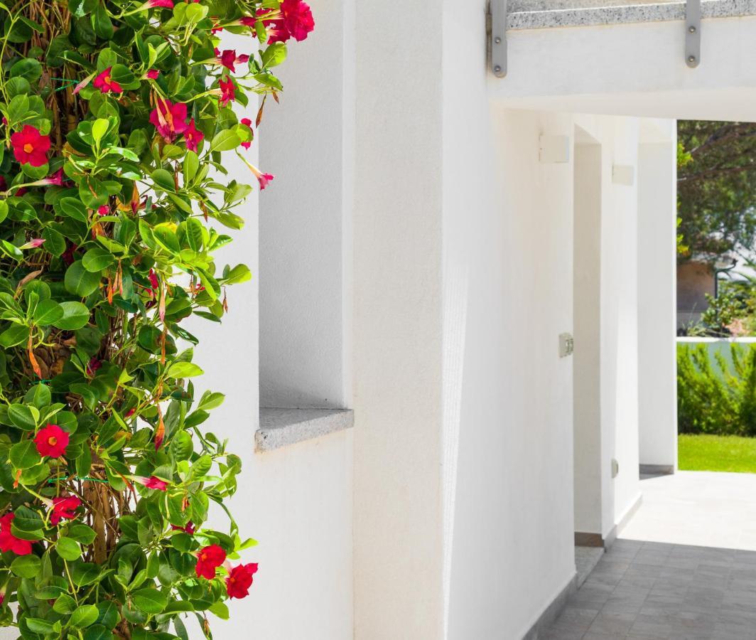 Wlofts 13 By Klodge Olbia Extérieur photo